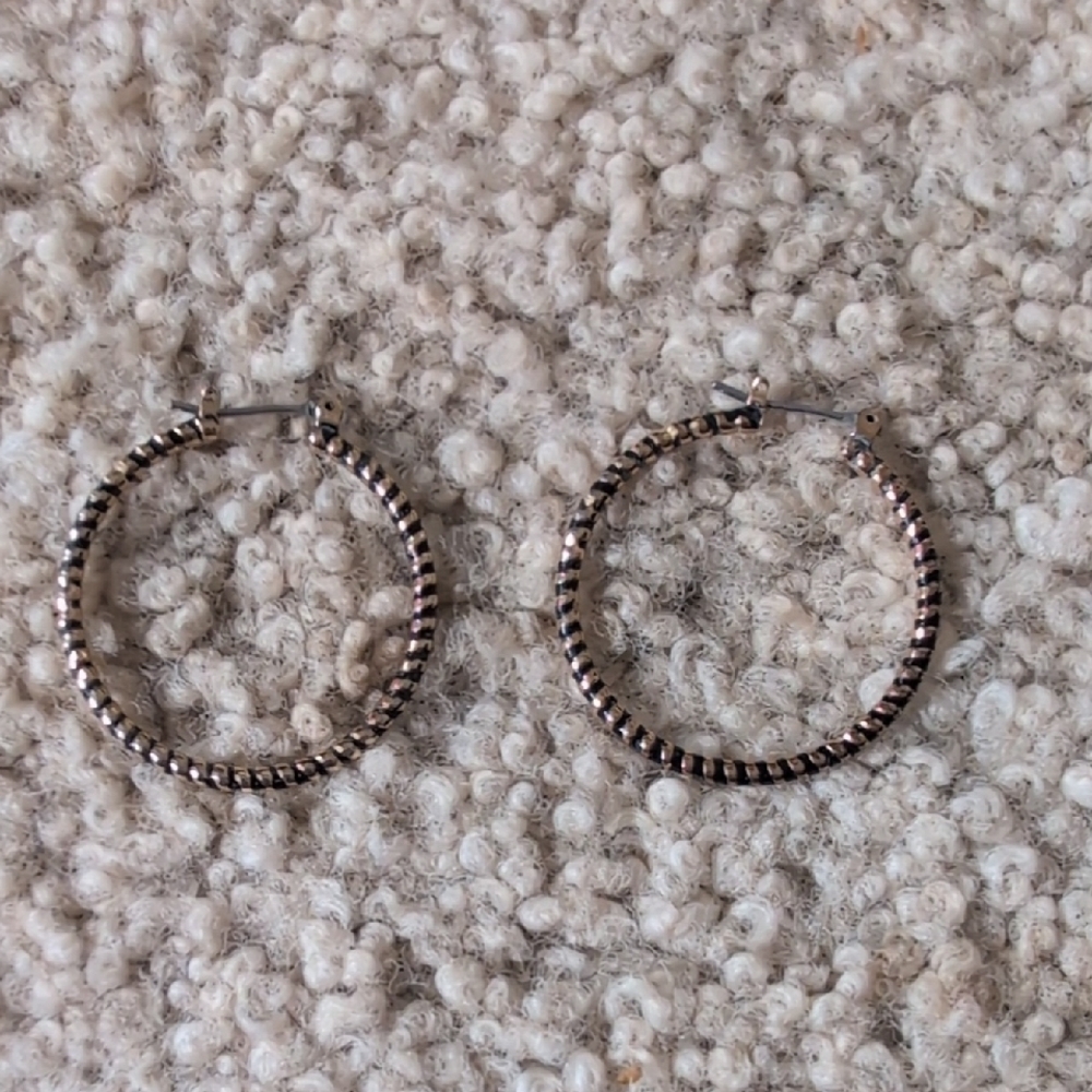 Hoop Earrings